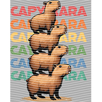 Animal Text Series-AT 272